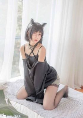 《警花与警犬》主演_720免费电视剧