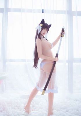 战斗天使阿里塔_HD动漫免费观看
